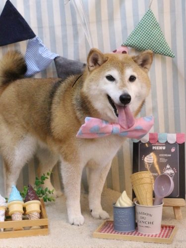 20250525こはるちゃん